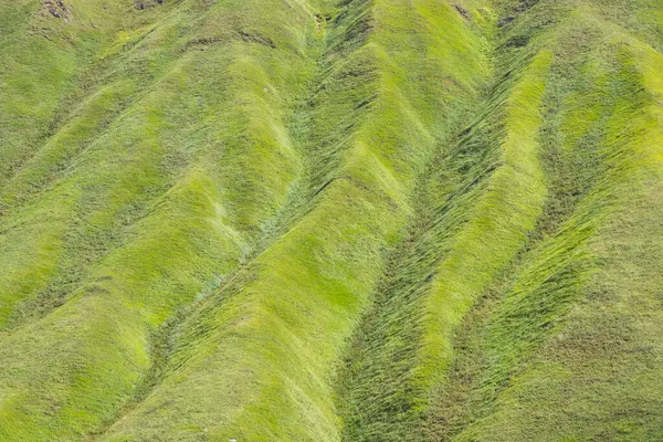 Grüne Berglandschaft Und Aussicht Georgien Nahaufnahme Des Berges Truso — Stockfoto