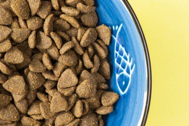 Köpek ve kediler yiyecek kurutur.