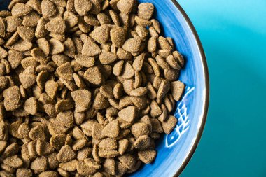 Köpek ve kediler yiyecek kurutur.