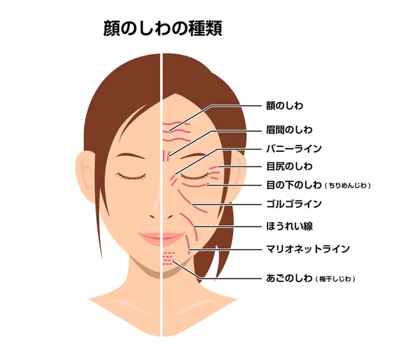 Yüzü Kırışık Yüzü Kırışık Olmayan Kadın Yüzü Vektör Çizimi Japonca — Stok Vektör
