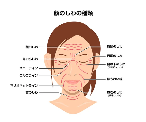 Arrugas Faciales Cara Femenina Vector Ilustración Japonés — Vector de stock