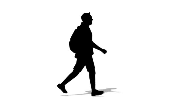 Περπάτημα Animation Άνθρωπος Σιλουέτα Loop Animation Βίντεο — Αρχείο Βίντεο
