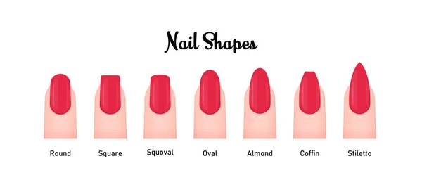 Premium Vector | Different shapes of nails. types of fashion different nail  shapes. various manicure