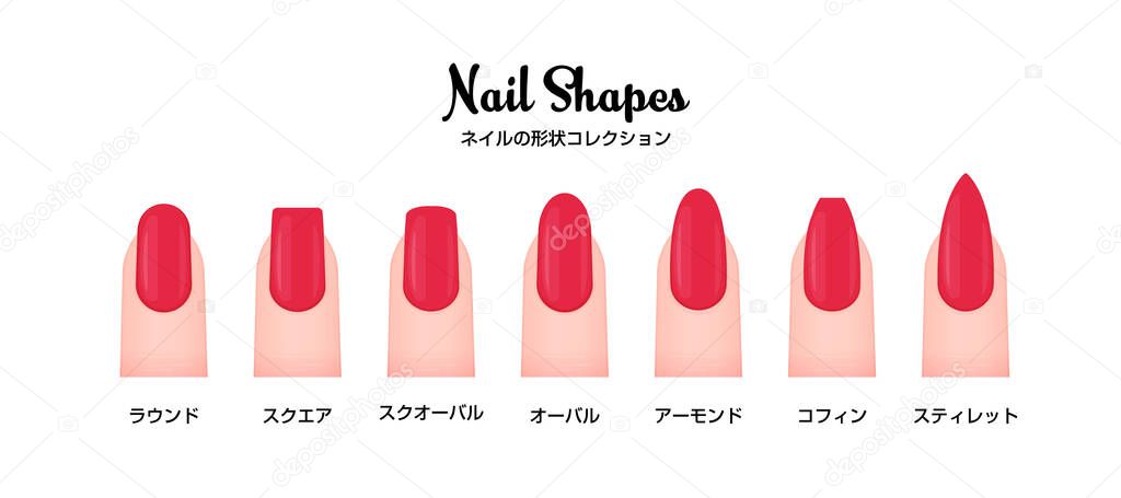 Various nail shapes vector illustration set