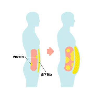 İçsel yağ ve deri altı yağlarının insan silueti çizimi