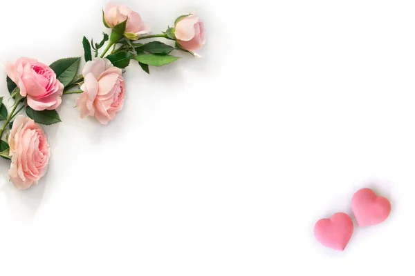 Flores Rosas Rosas Con Corazones Sobre Fondo Blanco Con Espacio —  Fotos de Stock