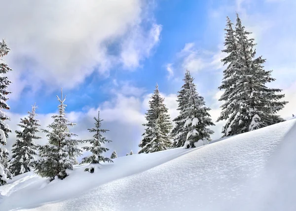 Paisaje Invernal Montañas Con Bosque Abeto Nieve Después Nevadas Montañas —  Fotos de Stock