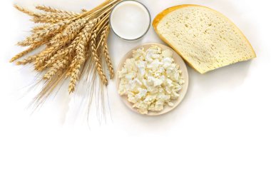 Peynir, arpa, buğday ve süt beyaz bir arka planda, mesaj için yer var. Üst manzara, düz uzanma