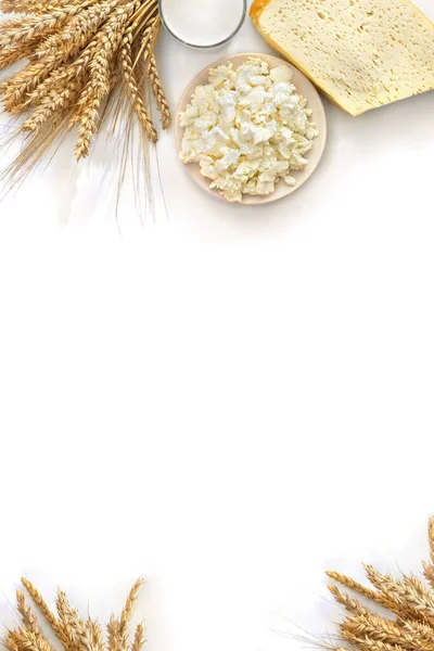 Peynir, arpa, buğday ve süt çerçevesi beyaz bir arka planda, metin için yer var. Üst manzara, düz uzanma