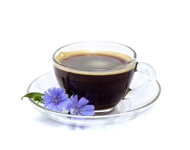 Beyaz arka planda hindiba ve çiçek hindiba (Cichorium intybus) ile iç. Kökler kahve yerine kullanılıyor ve katkı sağlıyor.