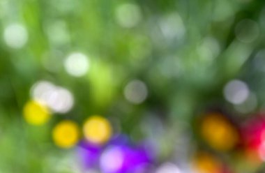 Odaklanamayan park veya bokeh 'in doğal arkaplanı