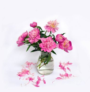 Cam vazoda pembe şakayıklar, açık arkaplanda pembe taç yaprakları ve metin için yer var.