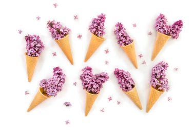 Beyaz arka planda güzel menekşe çiçekleri olan gözleme konileri (şırınga vulgaris). Üst manzara, düz uzanma