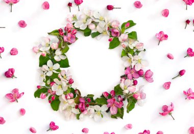 Çiçek çelengi beyaz arka planda elma ağacı ve metin için yer var. Üst manzara, düz uzanma