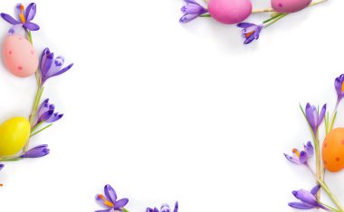 Paskalya süsü. Çiçeklerin Paskalya çerçevesi menekşe timsahları, beyaz arka planda renkli paskalya yumurtaları ve metin için boşluk. Üst manzara, düz uzanma