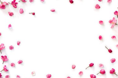 Beyaz bir zemin üzerinde pembe çiçekler ve taç yaprakları elma ağacı çerçevesi ve metin için yer. Üst manzara, düz uzanma