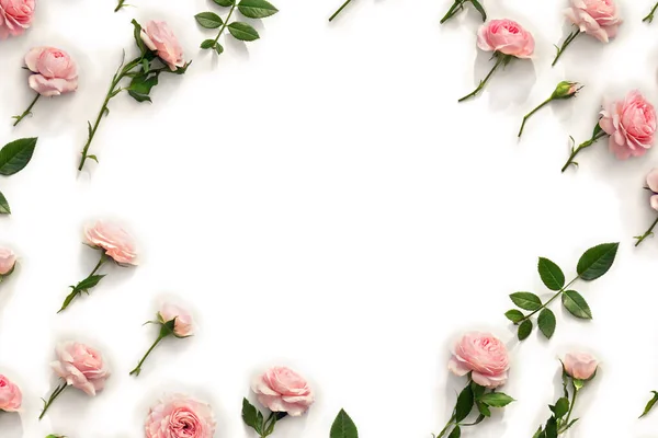 Blumen Rosa Rosen Mit Blättern Auf Weißem Hintergrund Mit Platz — Stockfoto