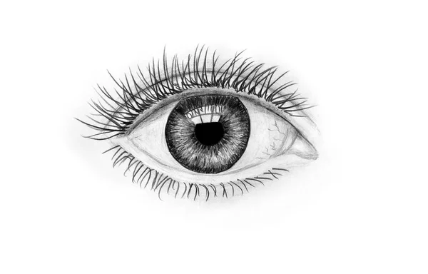 Hand Drawn Human Eye White Background Art Illustration Black White — Stock Photo, Image