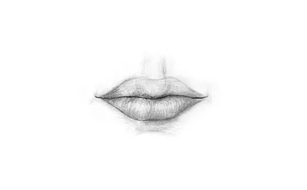 Hand Drawn Human Lips White Background Art Illustration Black White — Stock Photo, Image