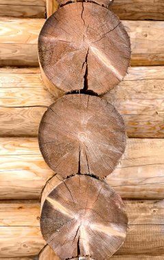 Duvara istiflenmiş bir sürü çam kütüğü