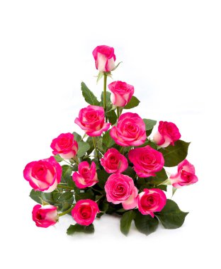 Beyaz arkaplanda güzel pembe güller ve metin için yer var.