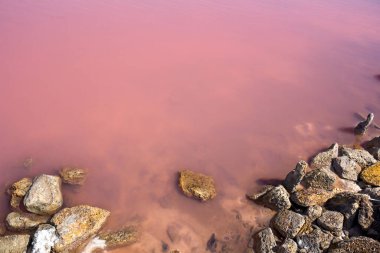 Pembe su ve taşlar Kuyalnik Estuary. Odessa 'da. Ukrayna