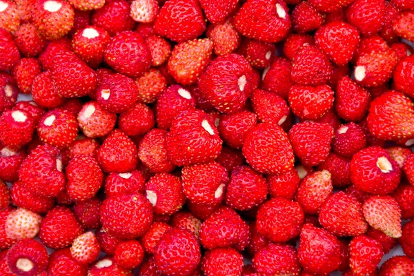 Fresas Rojas Maduras Limpias Textura Vista Superior — Foto de Stock