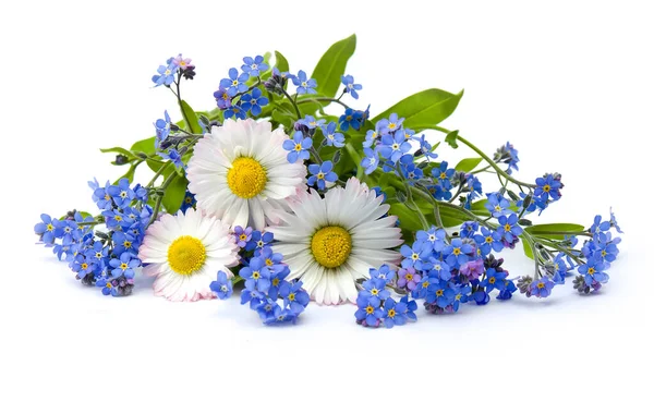 Bouquet Daisies Forget White Background Space Text — Stock Photo, Image