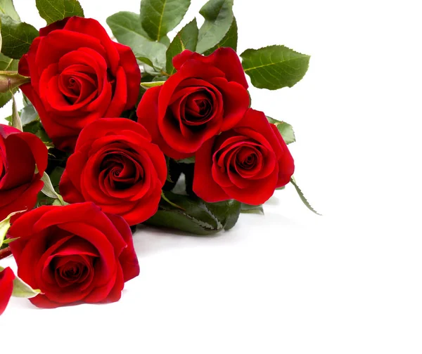 Bouquet Red Roses White Background Space Text — Stock Photo, Image