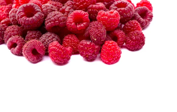 Fresh Red Berries Raspberries White Background Space Text — Stock Photo, Image