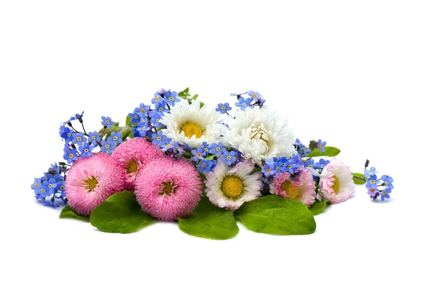 Bouquet Marguerite Forget White Background Space Text — Stock Photo, Image