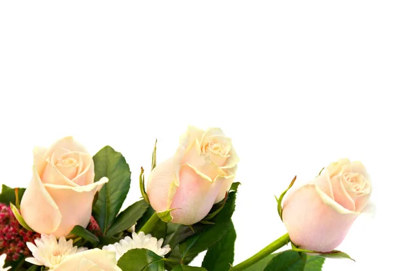 Hermosas Rosas Ramo Crema Sobre Fondo Blanco Con Espacio Para —  Fotos de Stock