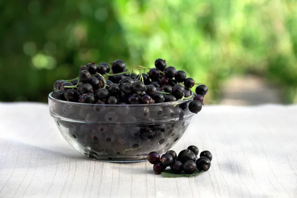 Schwarze Beeren Johannisbeere Einer Glasschüssel Auf Einem Tisch Mit Einer — Stockfoto