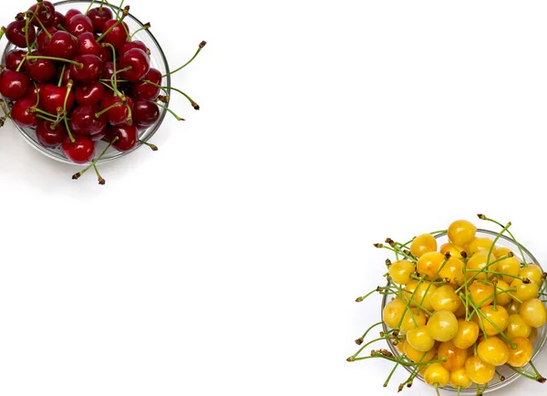 Cerises Douces Juteuses Rouges Jaunes Sur Fond Blanc Avec Espace — Photo