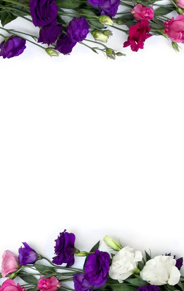 Marco Flores Violetas Blancas Rosadas Eustoma Campanas Azules Texas Bluebell —  Fotos de Stock