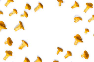 Beyaz arkaplan üzerinde taze chanterelles mantarları (Cantharellus cibarius) ve metin için boşluk vardır. Yaban organik mantarlar. Üst manzara, düz uzanma