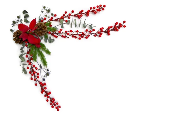 Decoração Natal Baga Vermelha Flores Secas Azuis Poinsettia Vermelha Árvore — Fotografia de Stock