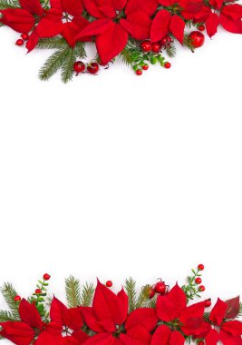 Noel çerçevesinde kırmızı noktalı çiçekler, kırmızı böğürtlenler ve köknar dalları fotokopi alanı olan beyaz bir arkaplanda. Üst manzara, düz uzanma