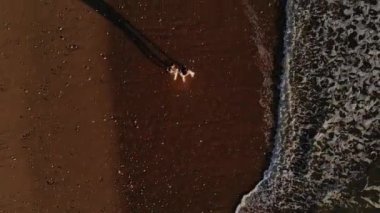 Kumsalda yürüyen bir çiftin hava videosu.