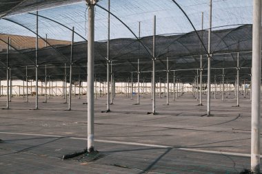 Meyve seraları ekim ve hasat için hazır. Ahududu ve yaban mersini. Tarım. Sağlıklı yemek.