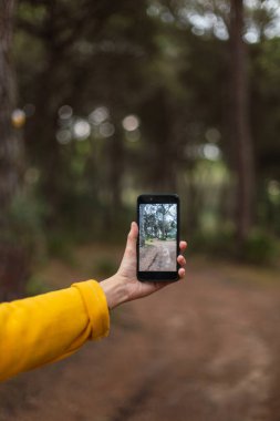 Akıllı telefonlu bir kızın eli ormanın fotoğrafını çekiyor..