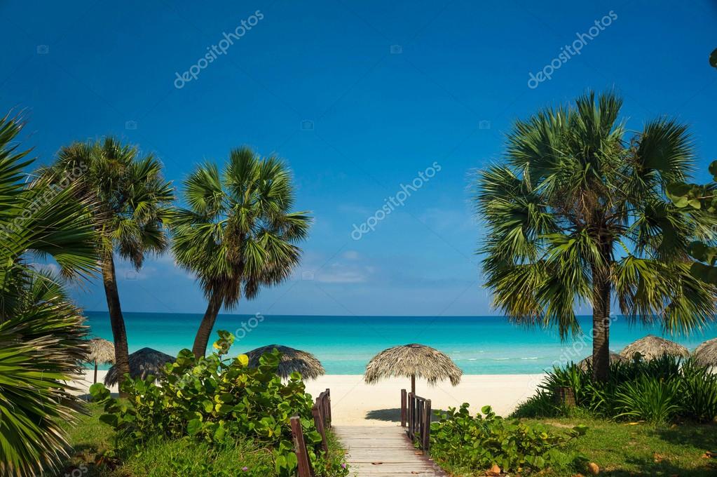 Beach With White Sand Palm Trees And Umbrellas Stock Photo Beach With White Sand Palm Trees And Umbrellas Stock Photo