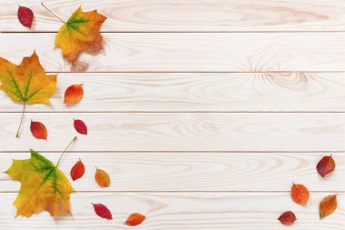 Sonbahar yaprakları ahşap zemin üzerinde düzdür