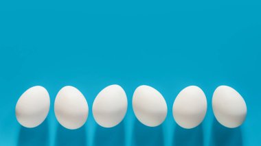 White eggs in a row on blue background with copy space