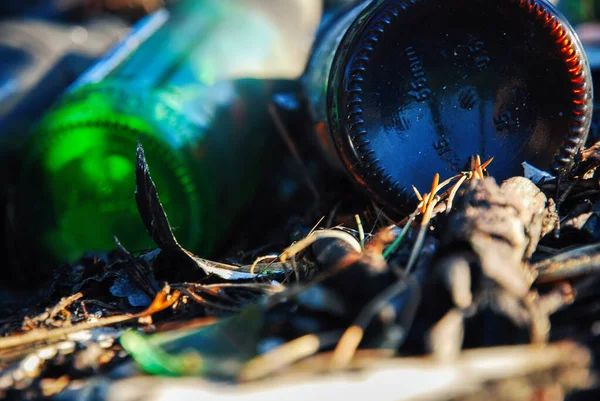 Primer Plano Botellas Cerveza Vidrio Dejadas Bosque Problema Contaminación Naturaleza — Foto de Stock