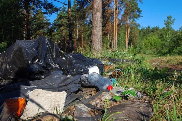 森林里未经许可倾倒垃圾 堆放家庭垃圾 — 图库照片
