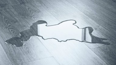 Yerdeki su, temizlik sorunları, hayvan bakımı, tuvalet eğitimi.