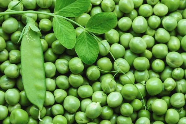 Guisantes Verdes Verduras Frescas Temporada Verano Antecedentes Alimentarios — Foto de Stock