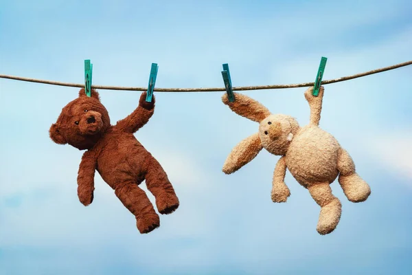 Plush Toys Bunny Teddy Bear Dried Clothesline Washing — Stock Photo, Image