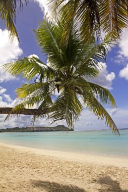 Guam Beach
